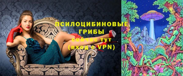 спиды Алексин