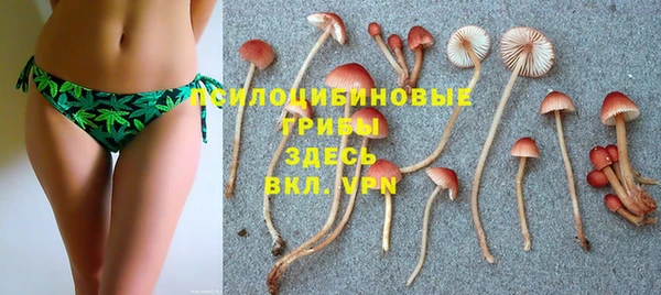 кокс Абдулино