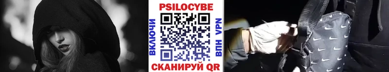 Галлюциногенные грибы Psilocybe  где продают наркотики  мега как войти  Канск 